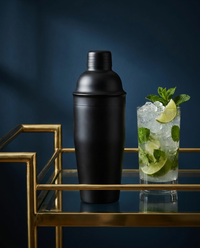 Shaker Cocktail Inox
